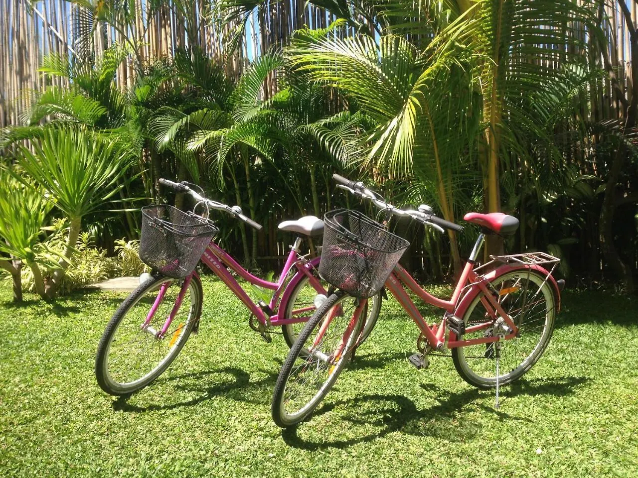 Cove Tevana Seminyak