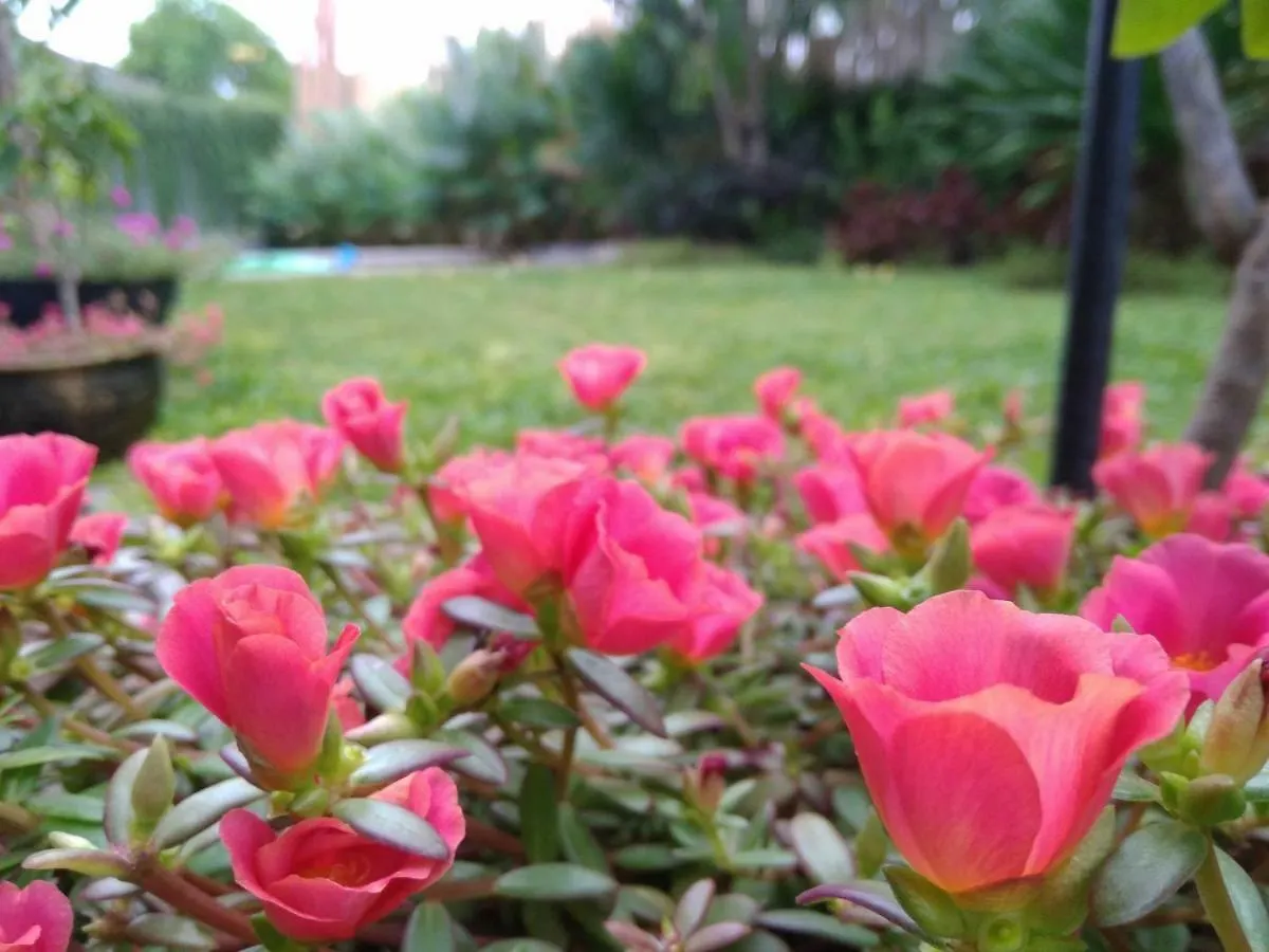 Cove Tevana Seminyak